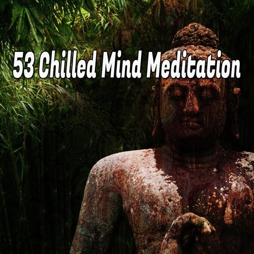 53 Chilled Mind Meditation