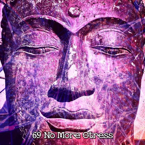 69 No More Stress_poster_image