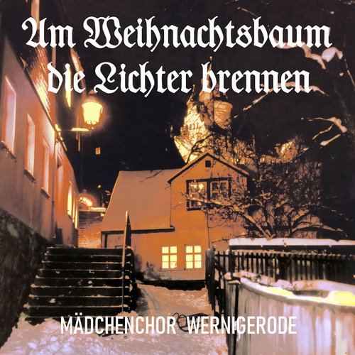 Am Weihnachtsbaum die Lichter brennen_poster_image