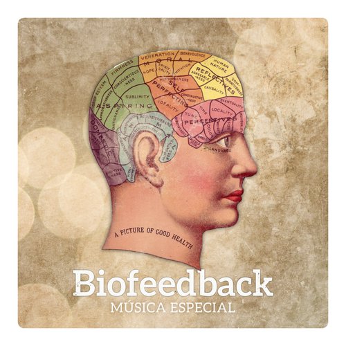 Terapia de Música Zen cover art