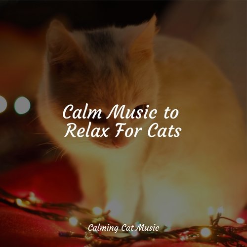 Music for Meditation cover art
