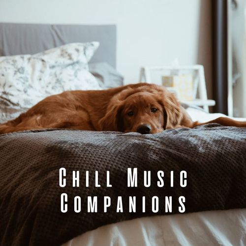 Chill Music Companions: Serene Melodies for Dogs_poster_image