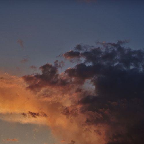 Evening Light