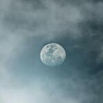 Fantasy Talking to the Moon