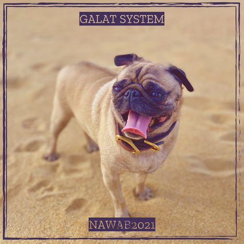 Galat System