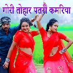 Gori Tohar Patari Kamariya