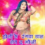 Holi Me Rangva Dal Leve D Bhauji