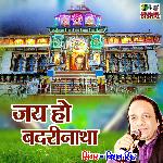 Jai Jai Ho Badarinath