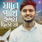 Jare Pakhi Hridoy Chira Ja
