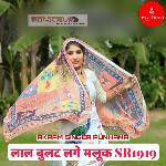 लाल बुलट लगे मलूक SR1919