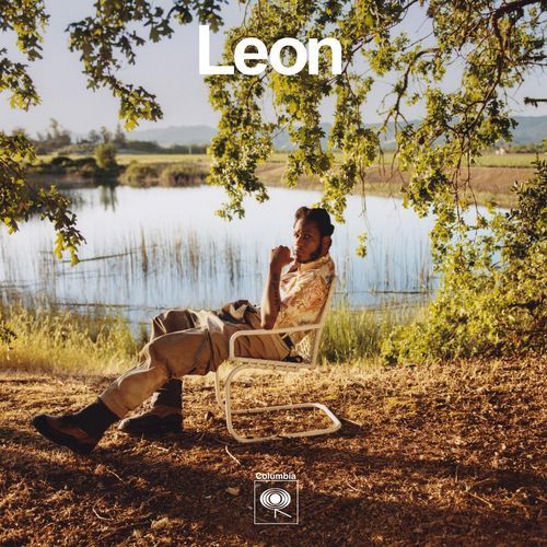 Leon_poster_image