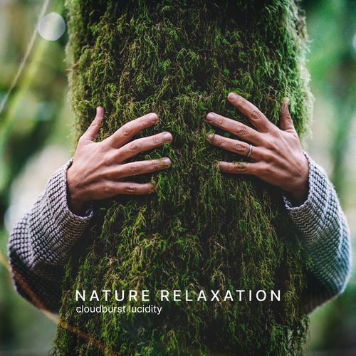 Vegetal Palace cover art