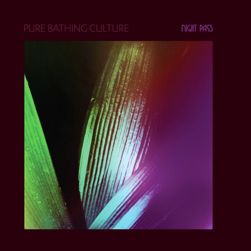 Pure Bathing Culture