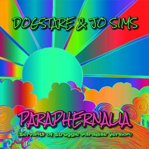 PARAPHERNALIA (Simsy's Funky Filter Mix) cover art