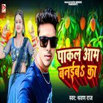 Pakal Aam Banaib Ka