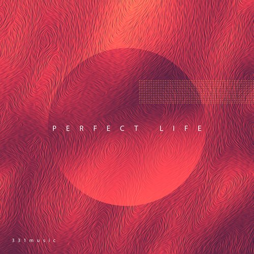 Perfect Life_poster_image