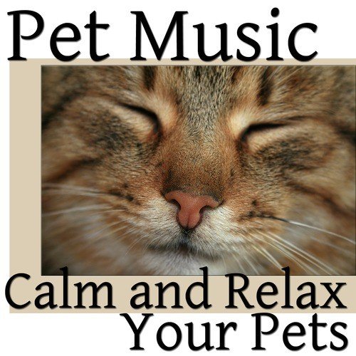 Calming for Pets cover art