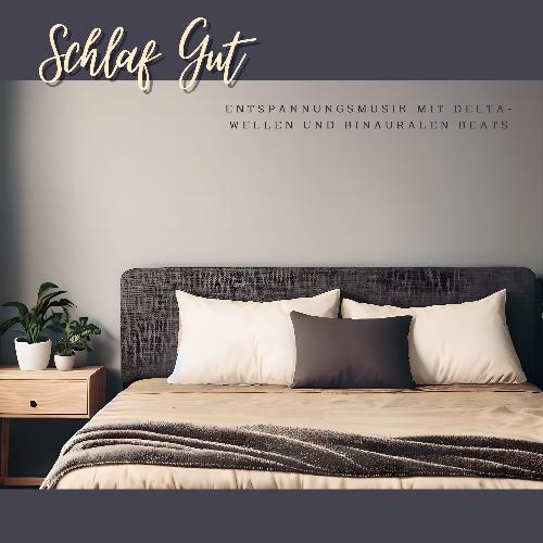 Schlaf Gut cover art