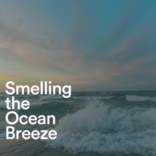 Wondrous Shoreline
