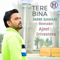 Tere Bina Mere Sanam - Remake-Ayc,dw1zeUU