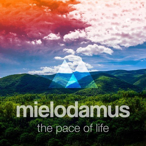 Much Older, Much Wiser cover art