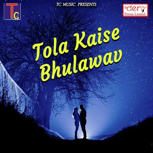 Tola Kaise Bhulawav_poster_image