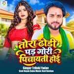 Tora Dhodi Par Gori Panchayat Hoii