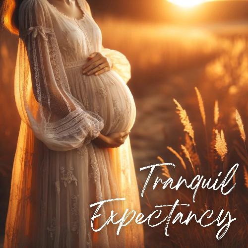 Tranquil Expectancy: Mindful Practices for Pregnancy Wellbeing_poster_image