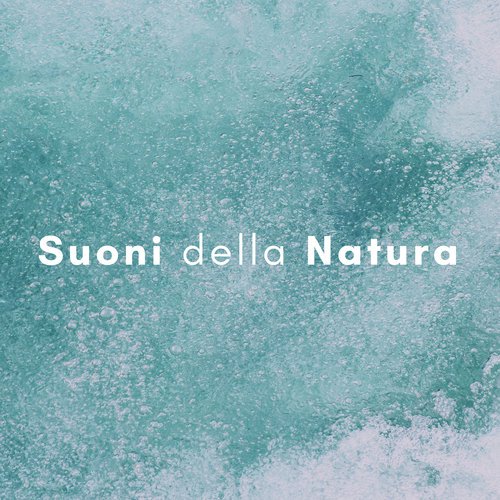 Acqua Curativa cover art