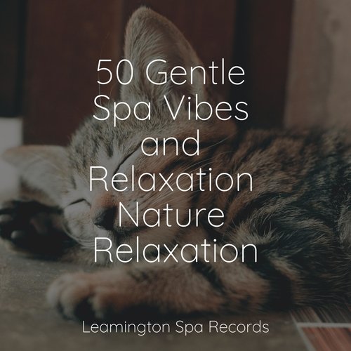 Meditating Music cover art