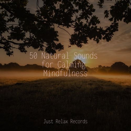 50 Natural Sounds for Calming Mindfulness