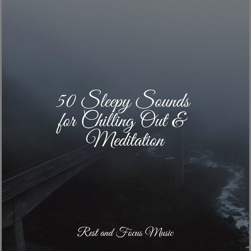 50 Sleepy Sounds for Chilling Out & Meditation