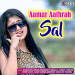Aamar Aathrah Sal