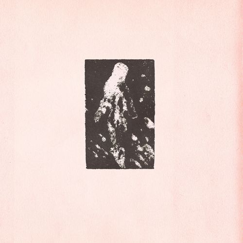 Ribo cover art
