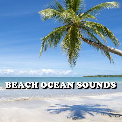 Beach Ocean Sounds