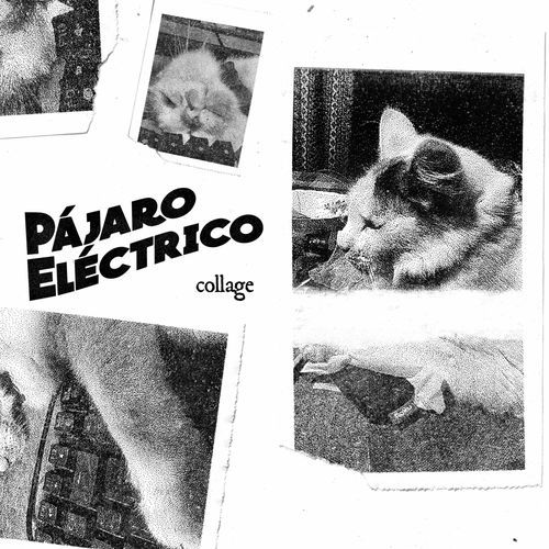 Los Iluminados cover art