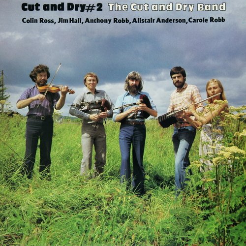Jim Hall's Fancy cover art