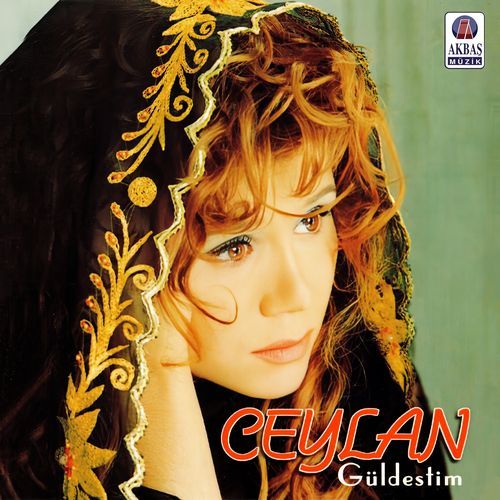 Ataşına düştüm cover art