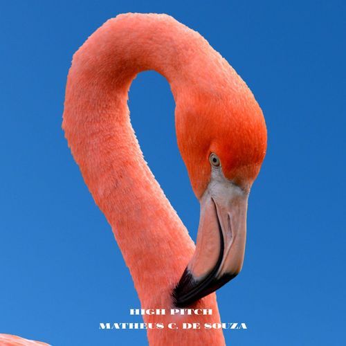 Forever In your Eyes (feat. Daddy Peaches)