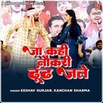 Ja Kahi Naukri Dhundh Jale