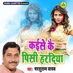 Kaise Kai Pisi Haradiya
