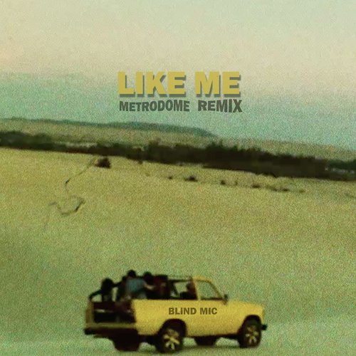 Like Me (Metrodome Remix)_poster_image