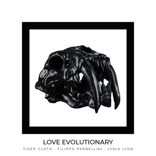 Love Evolutionary_poster_image