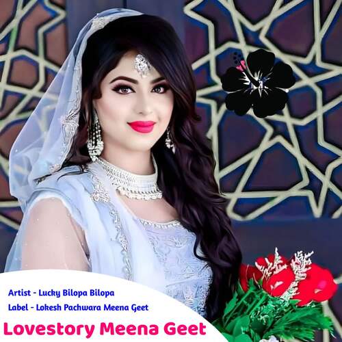 Lovestory Meena Geet