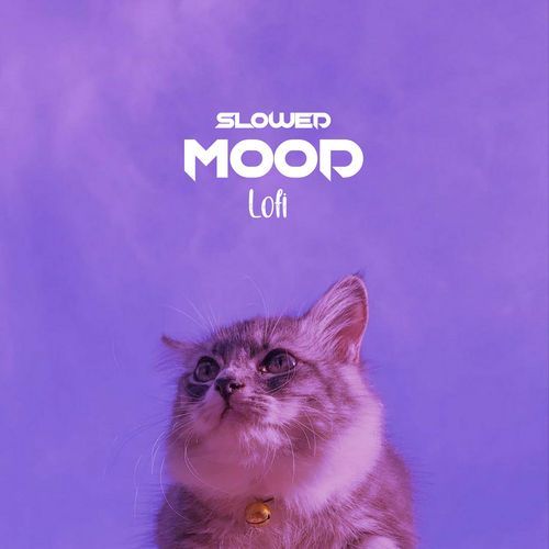 Mood (Lofi (Slowed)) cover art