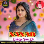 Nanad Collage Jari Ch
