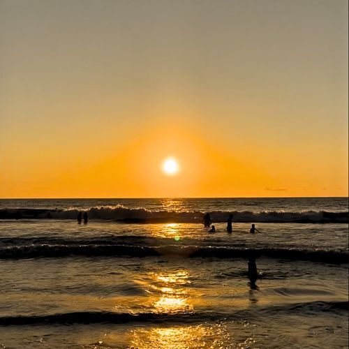 Someday cover art