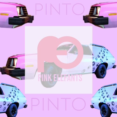 Pinto cover art