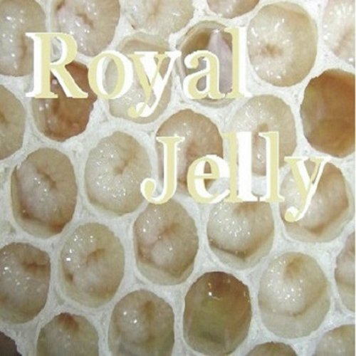 Hollow cover art