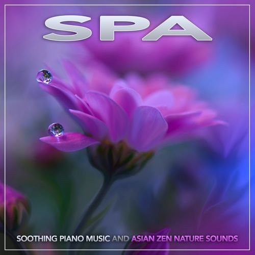 Ambient Nature Sounds cover art